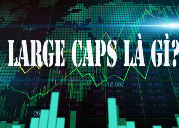 Large caps là gì?