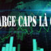 Large caps là gì?