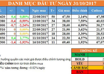 Danh mục đầu tư ngày 31/10/2017