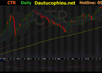 Đồ thị cổ phiếu CTR phiên giao dịch ngày 20/08/2021. Nguồn: AmiBroker