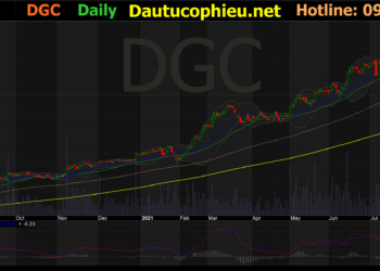 Đồ thị cổ phiếu DGC phiên giao dịch ngày 13/08/2021. Nguồn: AmiBroker
