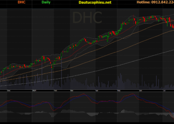 Đồ thị cổ phiếu DHC phiên giao dịch ngày 10/08/2021. Nguồn: AmiBroker