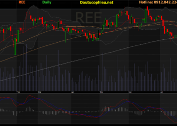Đồ thị cổ phiếu REE phiên giao dịch ngày 03/08/2021. Nguồn: AmiBroker