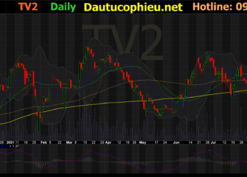 Đồ thị cổ phiếu TV2 phiên giao dịch ngày 20/08/2021. Nguồn: AmiBroker