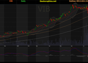 Đồ thị cổ phiếu VIB phiên giao dịch ngày 09/08/2021. Nguồn: AmiBroker