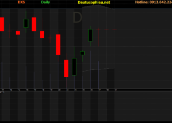 Cập nhật cổ phiếu DXS – Duy trì khuyến nghị mua vào với giá mục tiêu 41.000 đồng/cp