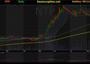 Cập nhật cổ phiếu NTP – Duy trì kết quả kinh doanh ổn định