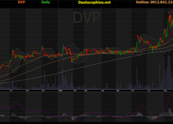 Đồ thị cổ phiếu DVP phiên giao dịch ngày 05/10/2021. Nguồn: AmiBroker
