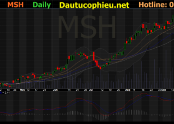 Đồ thị cổ phiếu MSH phiên giao dịch ngày 01/10/2021. Nguồn: AmiBroker
