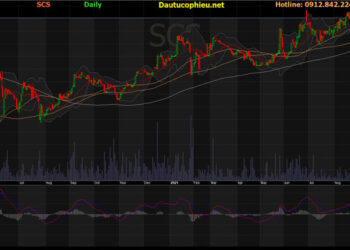 Đồ thị cổ phiếu SCS phiên giao dịch ngày 25/10/2021. Nguồn: AmiBroker