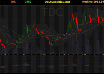 Đồ thị cổ phiếu TDC phiên giao dịch ngày 19/10/2021. Nguồn: AmiBroker