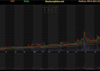 Đồ thị cổ phiếu THT phiên giao dịch ngày 06/10/2021. Nguồn: AmiBroker