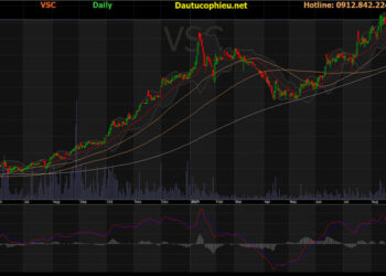 Đồ thị cổ phiếu VSC phiên giao dịch ngày 21/10/2021. Nguồn: AmiBroker