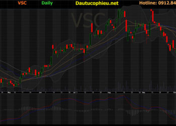 Đồ thị cổ phiếu VSC phiên giao dịch ngày 19/10/2021. Nguồn: AmiBroker