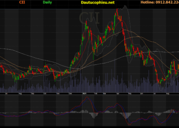 Đồ thị cổ phiếu CII phiên giao dịch ngày 04/11/2021. Nguồn: AmiBroker