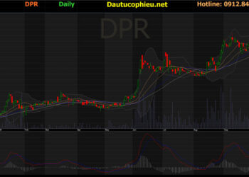 Đồ thị cổ phiếu DPR phiên giao dịch ngày 01/11/2021. Nguồn: AmiBroker