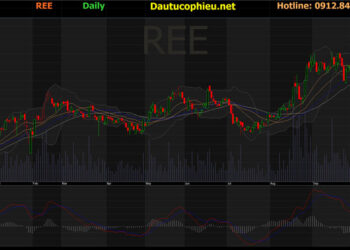 Đồ thị cổ phiếu REE phiên giao dịch ngày 02/11/2021. Nguồn: AmiBroker