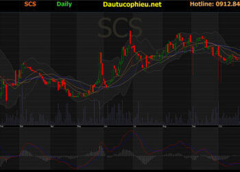 Đồ thị cổ phiếu SCS phiên giao dịch ngày 25/11/2021. Nguồn: AmiBroker