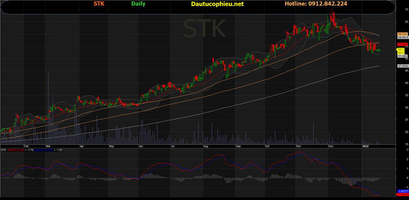 Đồ thị cổ phiếu STK phiên giao dịch ngày 20/01/2022. Nguồn: AmiBroker